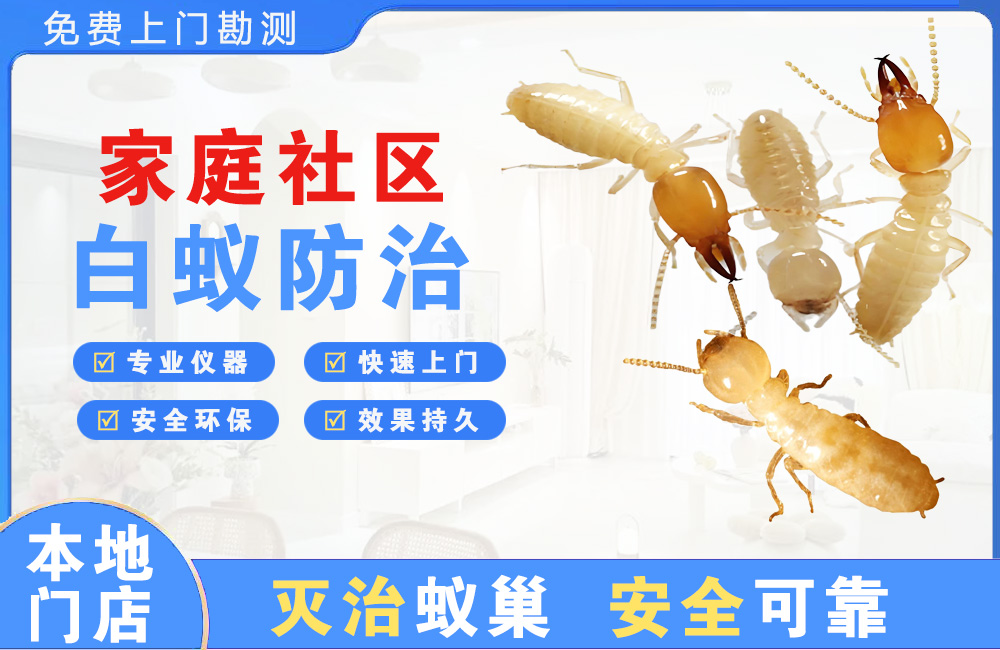 十堰家庭社区白蚁防治