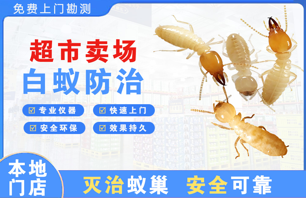 十堰超市卖场白蚁防治