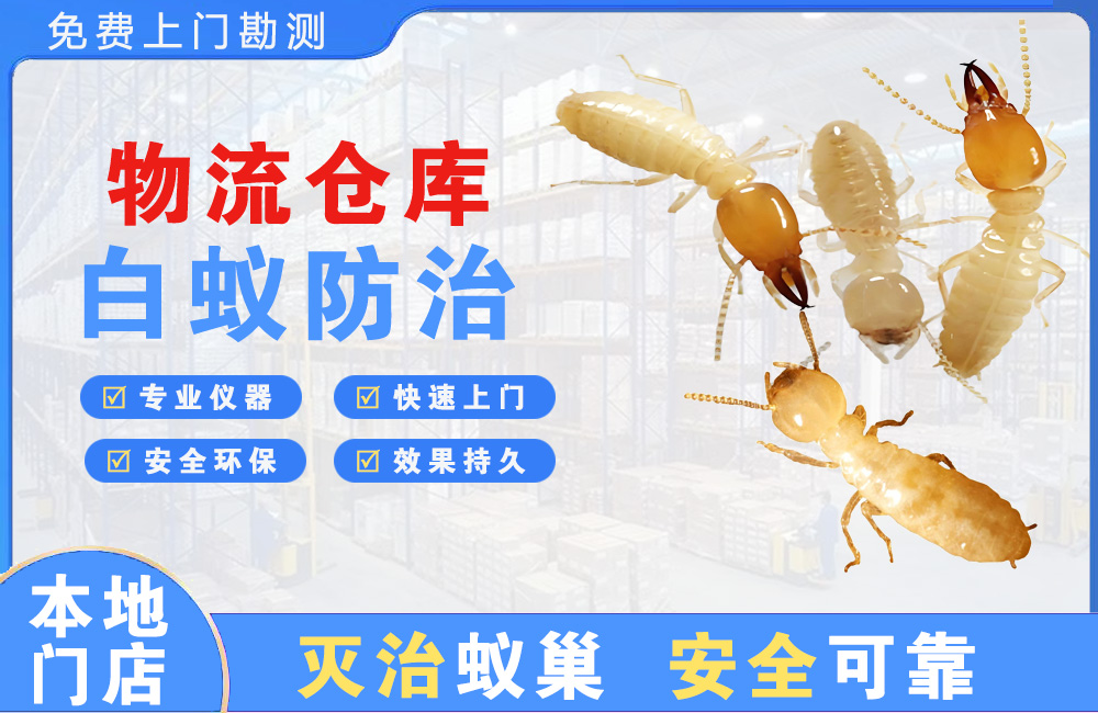 十堰物流仓库白蚁防治
