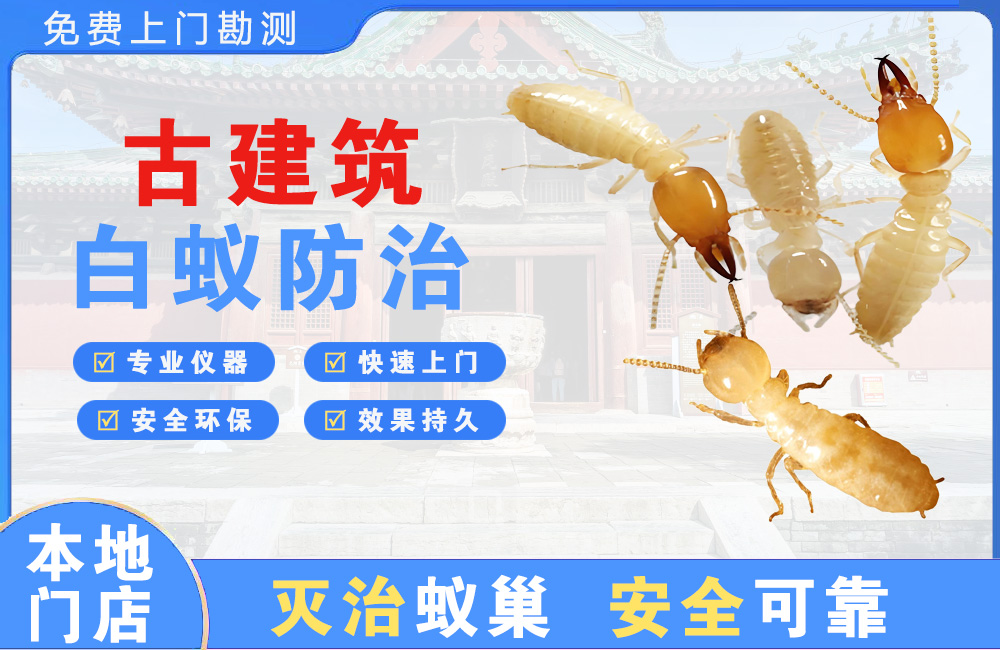 十堰古建筑白蚁防治