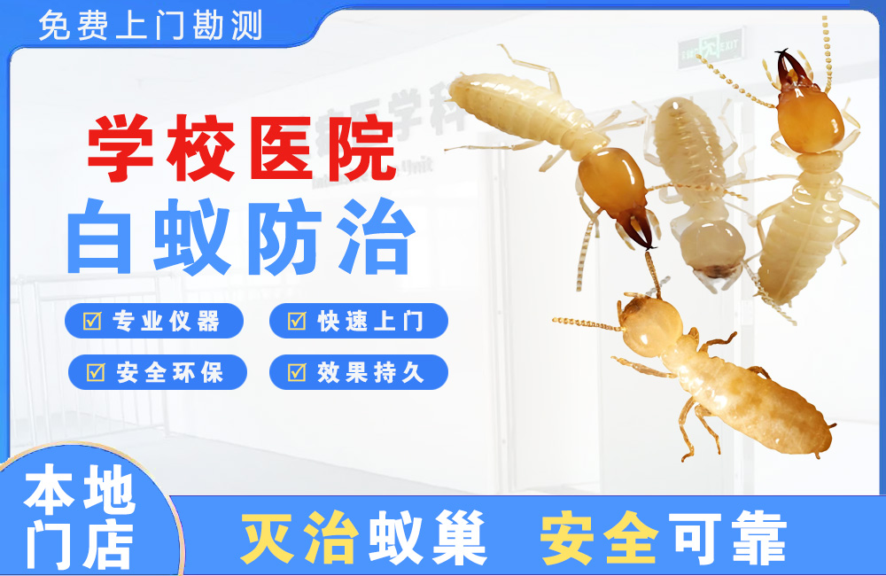 十堰学校医院白蚁防治