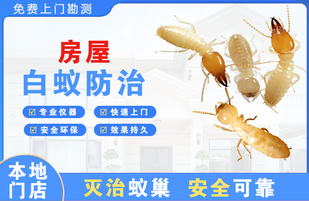 十堰房屋白蚁防治