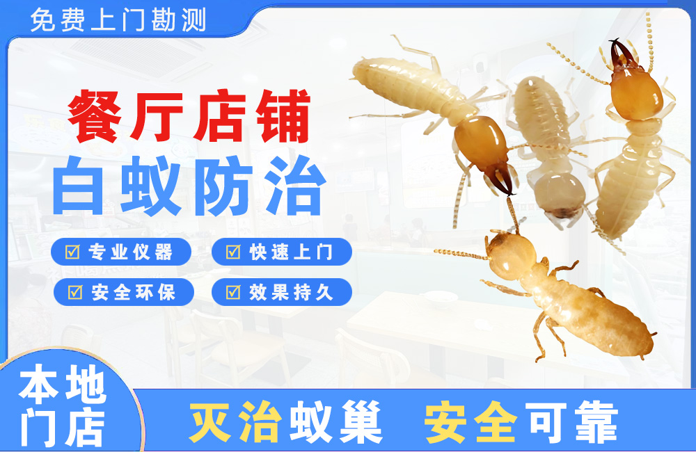 十堰餐厅店铺白蚁防治